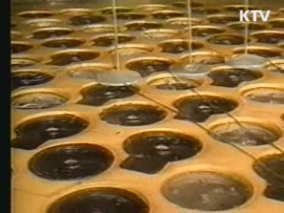 정부 "北 핵실험 우려 지속···예의주시"