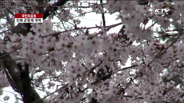 벚꽃의 향연, '진해 군항제' 개막 [국민리포트]