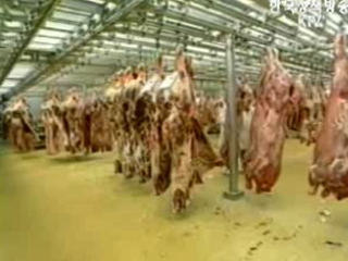 `한미FTA 농업 분야 빅딜설 근거 없다`