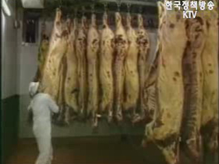 미 쇠고기 빠르면 9월 수입재개