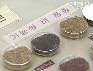 우리쌀 경쟁력 강화방안