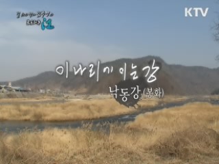 이나리에 이는 江 - 낙동강(봉화군)