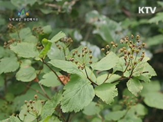 유엔사막화방지협약 제10차 총회 개막