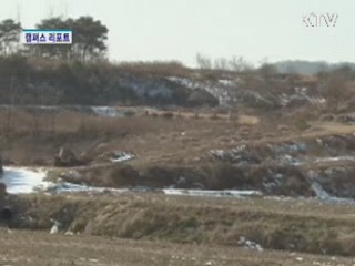 "고유가 시대 '펠릿'이 효자다"