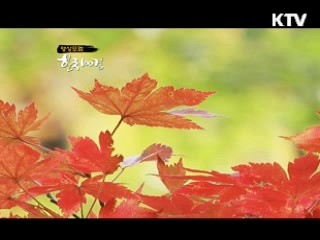 붉게 타는 가을의 서정 '설악산'