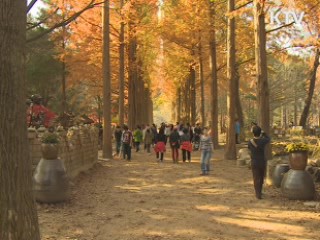 토요 문화 프로그램 무료로 즐기세요