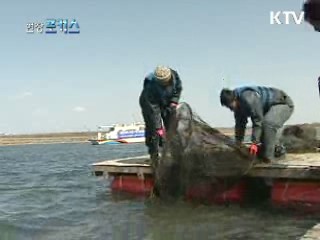 깨끗한 대한민국 만들기