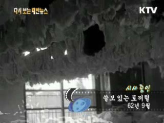 쓸모 있는 토끼털(62') 이미지