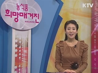 논 소득기반 다양화 사업 본격추진