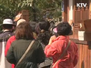 전주한옥마을 이대로 좋은가?