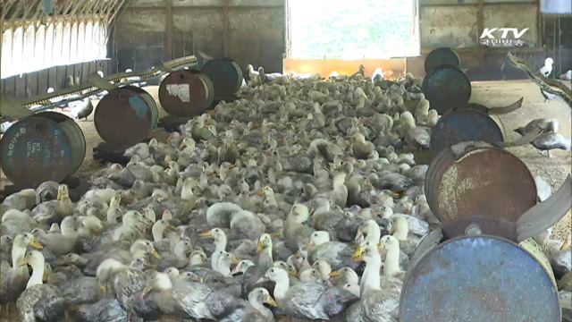 경기·충청·대전 '이동중지 명령' 발동