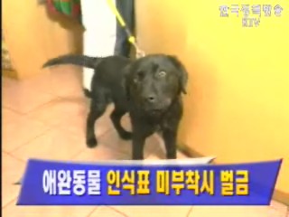 애완동물 인식표 미부착시 벌금