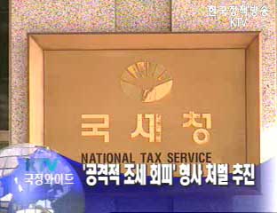 `공격적 조세회피` 형사처벌 추진