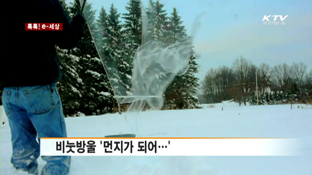 비눗방울 '먼지가 되어…' [톡톡! e 세상]