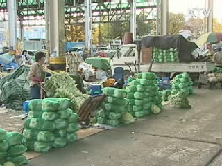 서울시 배추 30만 포기 시중가 70%에 공급