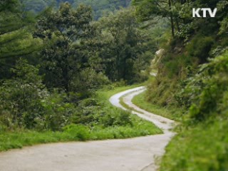 보부상의 길, 울진 십이령 - 울진군