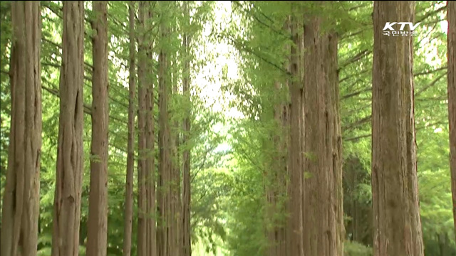 다음달 1~11일 관광주간…"여행을 떠나요"