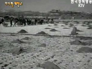 전진의 맥박(`67) 이미지