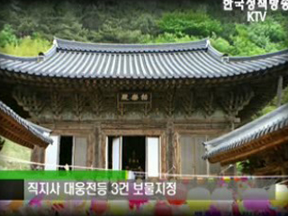 플러스 덤