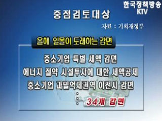 조세감면 대폭 정비
