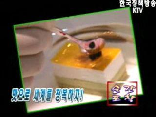 순간포착