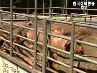 가축공제, 농협 외 <민간 보험사에도 개방>