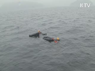 "살아서 돌아오라"···조종사 생환훈련