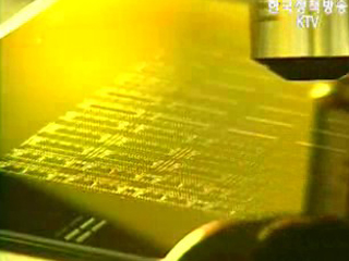 10월 수출 전년동기대비 11.5% 상승