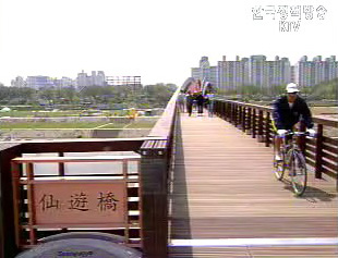 국도에도 자전거도로 들어선다