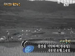 풍연을 기약하며, 권농일('66) 이미지