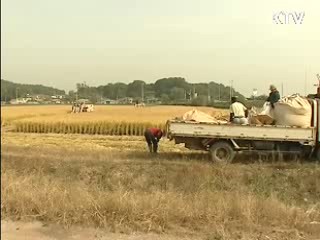 쌀 직불금, 1만㎡ 이상 경작시 지급