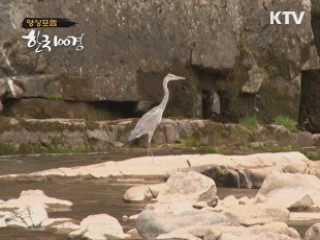 겨울을 부르는 손짓 - 강원 정선