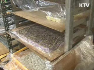 '설 성수품' 위생불량 업체 132곳 적발