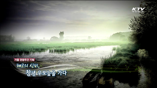 KTV 100년의 행복, 희망 대한민국 + (207회)