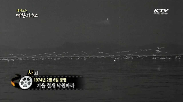 다시보는 대한늬우스 (74.02.06) 이미지