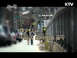 서울의 골목길을 걷다