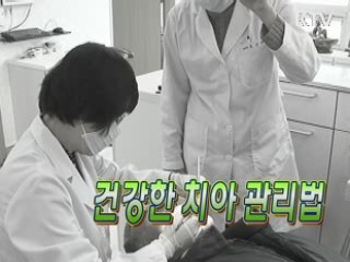 건강한 치아관리법 [생활과 정책]