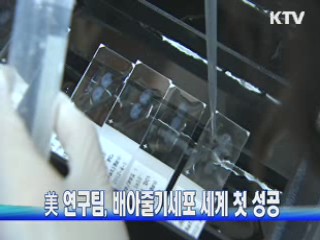 美 연구팀, 배아줄기세포 세계 첫 성공