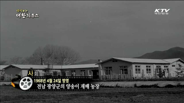 다시보는 대한늬우스 (68.04.24) 이미지