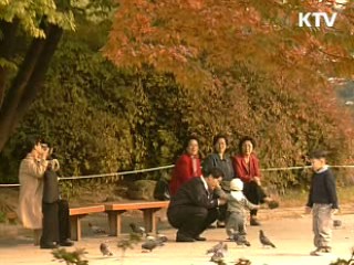 대체 공휴일 제도 검토