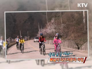 옥천 금강 따라~ 봄맞이 자전거열차 여행