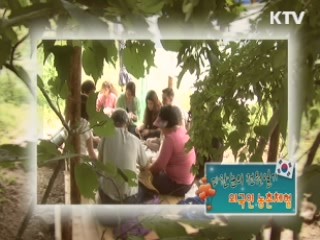 외국인 농촌체험 [사랑합니다 대한민국]