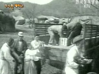 돼지 수출(`62) 이미지