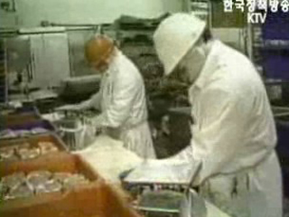 한미 FTA 농산물 협상 5차 때부터 본격화