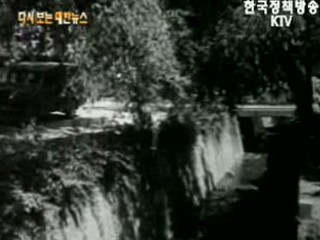 독나비 살충 작업(`58) 이미지