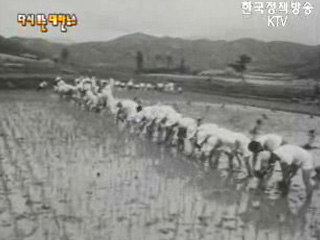 권농일(`64) 이미지