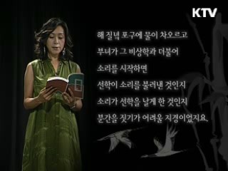 천년의 한, 학이 되어 날다 - 이청준 <선학동 나그네>