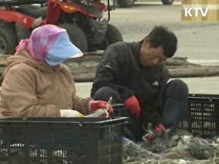 상처·충격 딛고 다시 일어서는 연평도