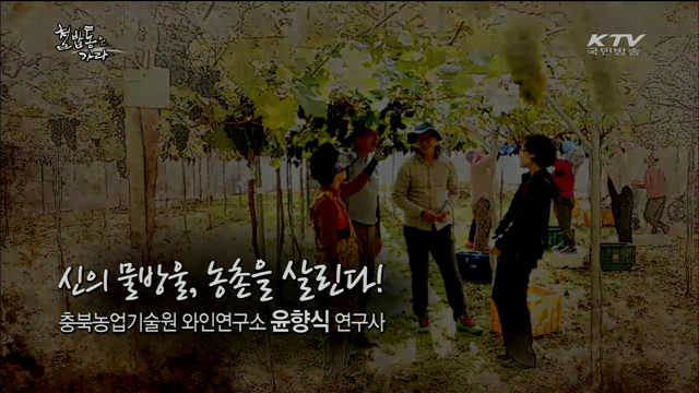 특허의 여인, 이번엔 와인이다 - 윤향식(충북농업기술원 와인연구소 연구사)