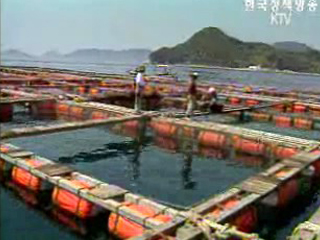 양식수산물에 재해보험 도입 추진